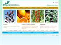 Fine Agro Solutions - Fine Agro Solutions Ltd. - компания по экспорту сельско-хозяйственной продукции